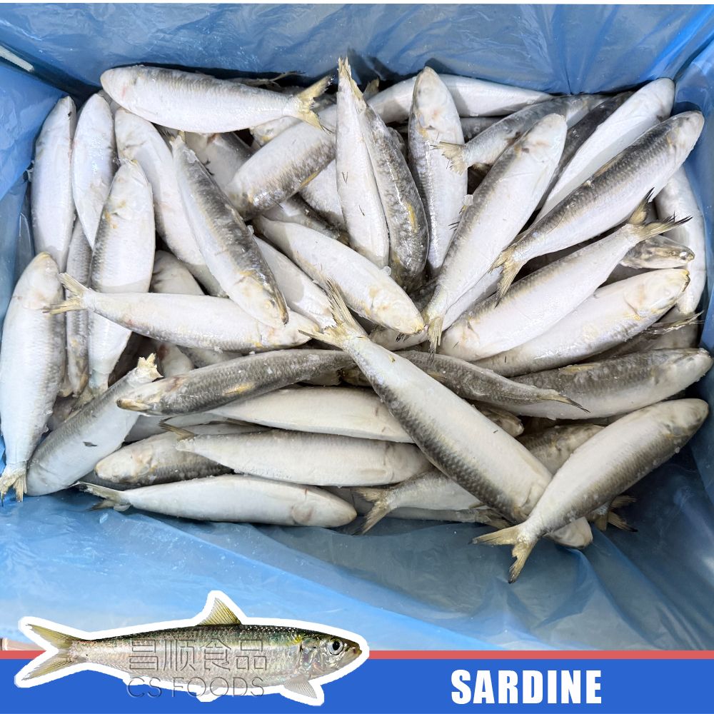 sardine sardine